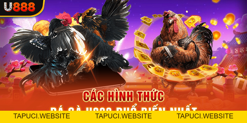 Đá Gà U888 Phát Trực Tiếp Và Mở Cược Trận Đấu Chuyên Nghiệp
