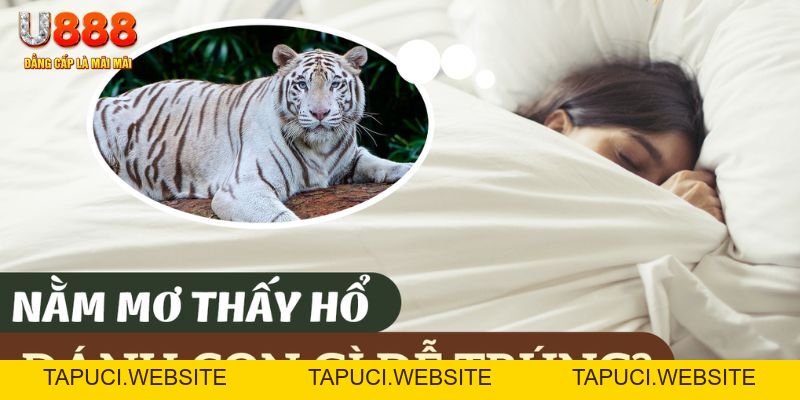 Giải Mã Giấc Mơ Thấy Hổ, Chia Sẻ Số Lô Đề Đẹp Tại U888