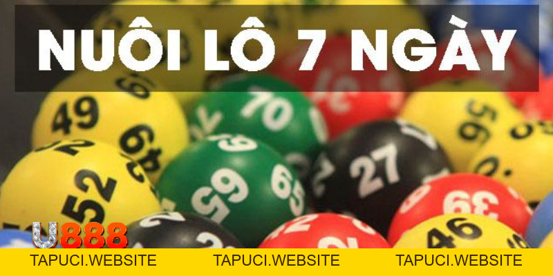Nuôi Lô 7 Ngày Đẳng Cấp Đúc Kết Từ Cao Thủ Xổ Số U888