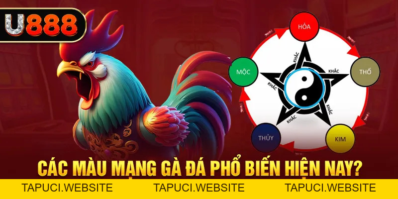Cách Xem Màu Mạng Gà Đá Chuẩn, Giúp Ích Cho Cuộc Chơi