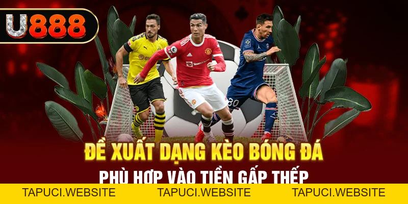 Cược Gấp Thếp Là Gì? Cách Vào Tiền Cá Độ Bóng Đá Tại U888