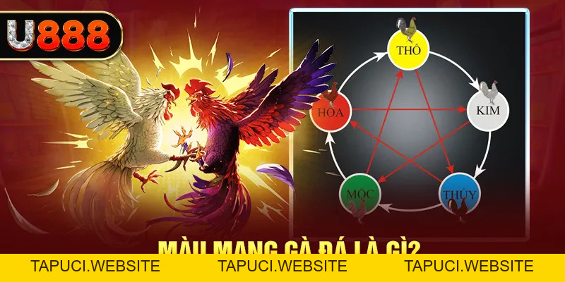 U888 iasi - Trang Chủ U888.COM Uy Tín - Tặng Code 88K