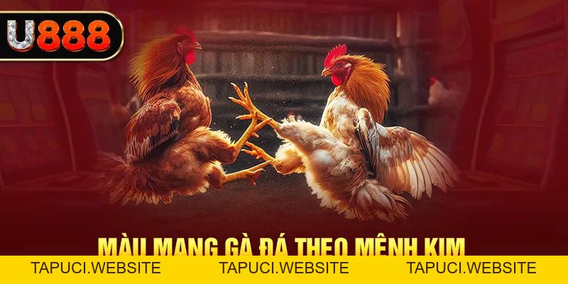 Cách Xem Màu Mạng Gà Đá Chuẩn, Giúp Ích Cho Cuộc Chơi