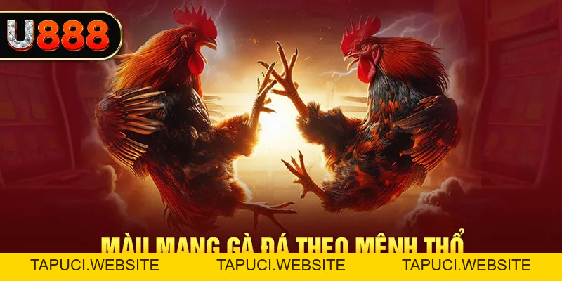 Cách Xem Màu Mạng Gà Đá Chuẩn, Giúp Ích Cho Cuộc Chơi